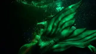 Underwater video shooting. The love story of a man and a mermaid