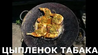 ЦЫПЛЕНОК ТАБАКА НА САДЖЕ НА КОСТРЕ. ЦЫПЛЕНОК ТАПАКА, #10