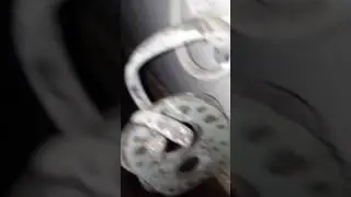 Репортаж2