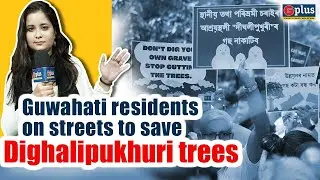 Guwahati Takes A Stand: Protest Against Tree Cutting For Dighalipukhuri-Noonmati Flyover | GPlus