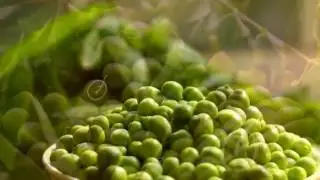 ЗЕЛЕНЫЙ ГОРОШЕК ПОЛЬЗА И ВРЕД | зеленый горошек консервированный польза,  как есть зеленый горошек