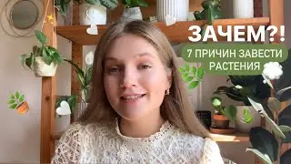🪴 Почему в каждом доме нужны растения? 🌱 | Мои причины