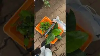 В топе моих самых странных покупок.