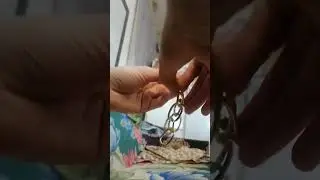 цепь фокус или факт
