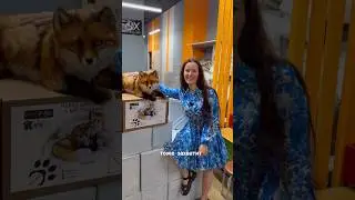 Экскурсия с лисой на новый склад😍
