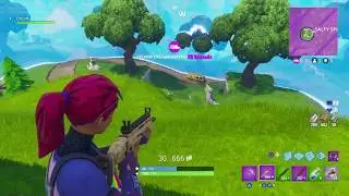 Fortnite Battle Royale - 10 Kill Solo Win and Insane Snipe