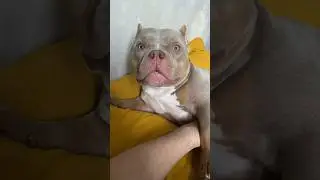 😂😂😂 