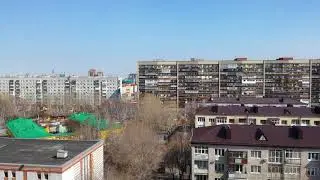 Тюмень. Муравейник. 