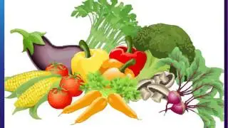Science - Food and Digestion - CBSE Class 4 Science (IV)