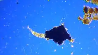 DSCN0210