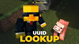 How To Find A Player's UUID: Minecraft
