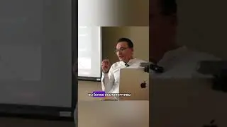 Наполненность