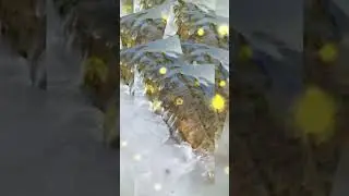 Весенний ручей