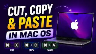 How to Cut / Move, Copy and Paste Files and Folders in Mac OS