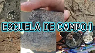 COMO es la PRIMER SALIDA DE CAMPO oficial de LA CARRERA 😍 | TodoSobrePaleo