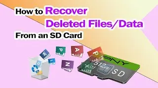 How to Recover Deleted Files/Data From an SD Card in Minutes