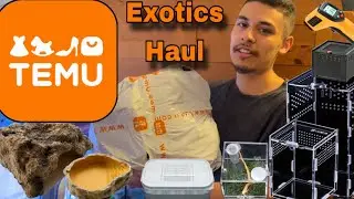 Reptile and Invertebrate TEMU HAUL + Review