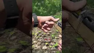 Повезло, быстро добыл оружие Scum 0.6 