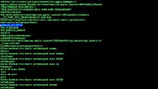 Linux environmental variables