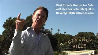 Bird Streets Hollywood Hills Homes