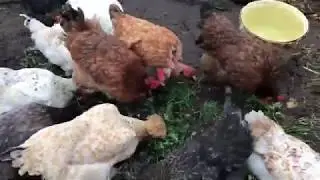 Зимние работы