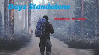 Dayz Standalone!! Угар и рассказ про сервер.! 