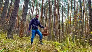 ГРИБНИК РАД! ГРИБЫ ПОШЛИ ПОСЛЕ ЗАМОРОЗКОВ!