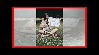 Su perrita estaba embarazada; ella quiso inmortalizar el momento con una sesión de fotos
