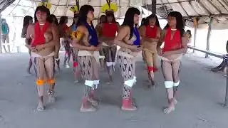 indígena don xingu.