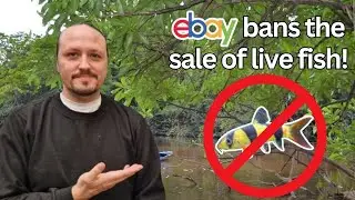 eBay bans the sale of live fish! (and other updates)
