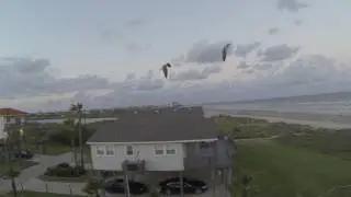 Birds Catching Puff Balls