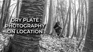 Last few Months were Hard! | Nature = Textures Part 1 | Landscape Photography | Zebra Dry Plates