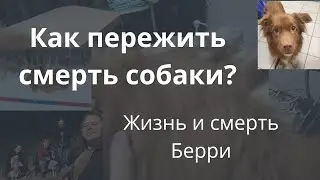 Жизнь и смерти толлера. Как пережить СМЕРТЬ собаки? О Берри, моем новошотландском ретривере