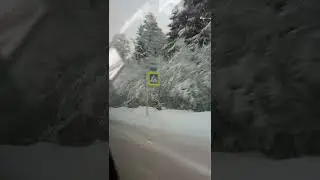 красота
