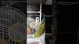 пожелал спокойной ночи и зашёл домой 😂 wished good night and went home 😁