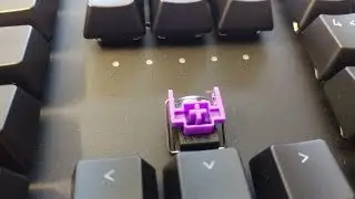 Razer Huntsman Typing Sound (Purple Optical Switch)