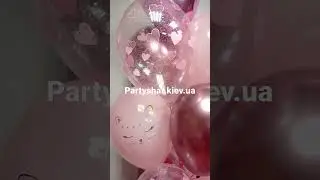 набор гелиевых шаров для любителей кошек