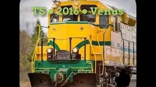 TS 2016 Venus