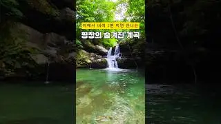 폭염이 사라지는 숨겨진 계곡! 한국의 블루라군평창 막동계곡 #계곡 #막동계곡 #여행에미치다 #여행스타그램 #국내여행 #대한민국구석구석 #국내여행지추천 #강원도여행 #강원도계곡