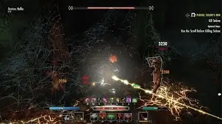 ESO - Selene HM Solo [Magicka Nightblade]