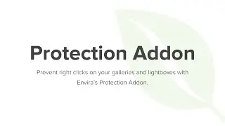 Envira Gallery's Protection Addon