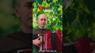 #гармонь#продажа