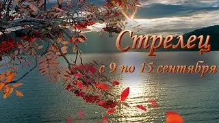 Стрелец Таро прогноз на неделю с 9 по 15 сентября 2024 года.