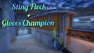 Sting Fleck + Gloves Champion