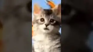 топ качество #пжврек