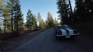 Mustang Mayhem (DJI O3)