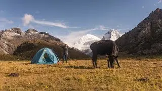 SOLO en la MONTAÑA!