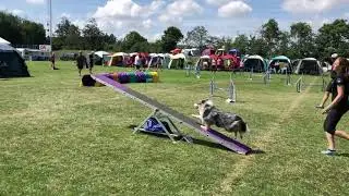 Fionia Cup 2019 | Funny