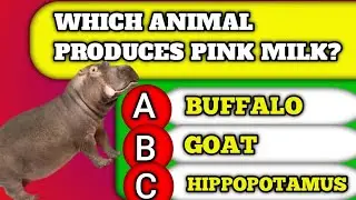 Which Animal Produces Pink MilkThink You're Smart? Tackle These 1General Knowledge Questions!