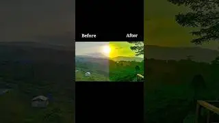 Preset Lightroom Lanscape forest | 1 